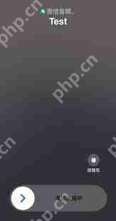 苹果CallKit如何开启