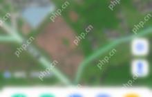 高德地图如何查看交通号-高德地图查看交通号的方法