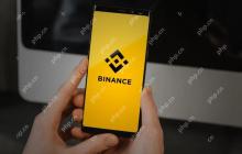 根据民意测验，哪些山寨币可以从二元中脱颖而出