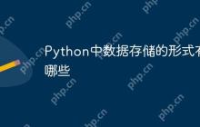 Python中数据存储的形式有哪些
