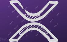 美国第二巡回上诉法院已暂时暂时暂停上诉程序