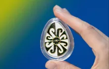 复活节欢乐。复活节彩蛋