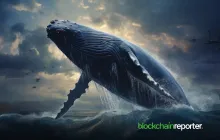 WalletConnect令牌（WCT）吸引鲸鱼