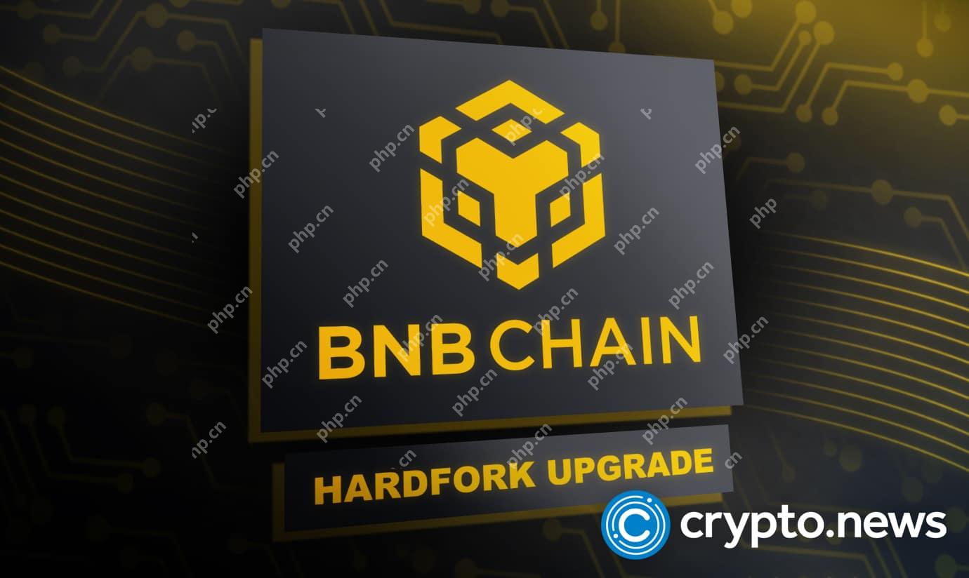 BNB链升级升级1亿美元的激励计划,以直接令牌获取为特色