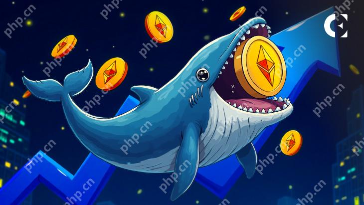 经过2。8年的不活动，一条鲸鱼购买了3,659.83 ETH，价值588万美元