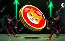Shiba INU（SHIB）价格预测：湿布很快就会增加500％以上，达到$ 0.0001