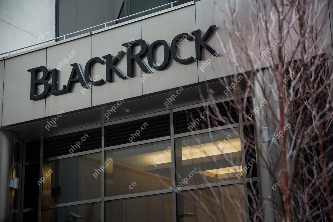 由贝莱德(Blackrock)领导
