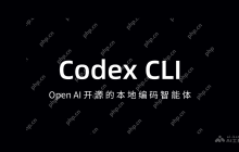 Codex CLI— OpenAI 开源的AI编程智能体