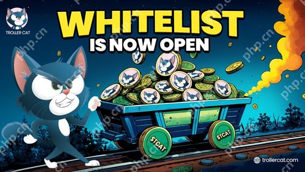 拖钓猫是模因硬币的新国王