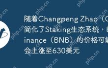 随着Changpeng Zhao（CZ）简化了Staking生态系统，Binance（BNB）的价格可能会上涨至630美元