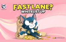 Troller Cat（$ TCAT）白名单是开放的：跳进去并领先于牛群