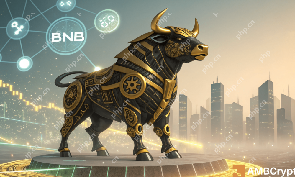 Binance Coin [BNB]正在闪烁的迹象