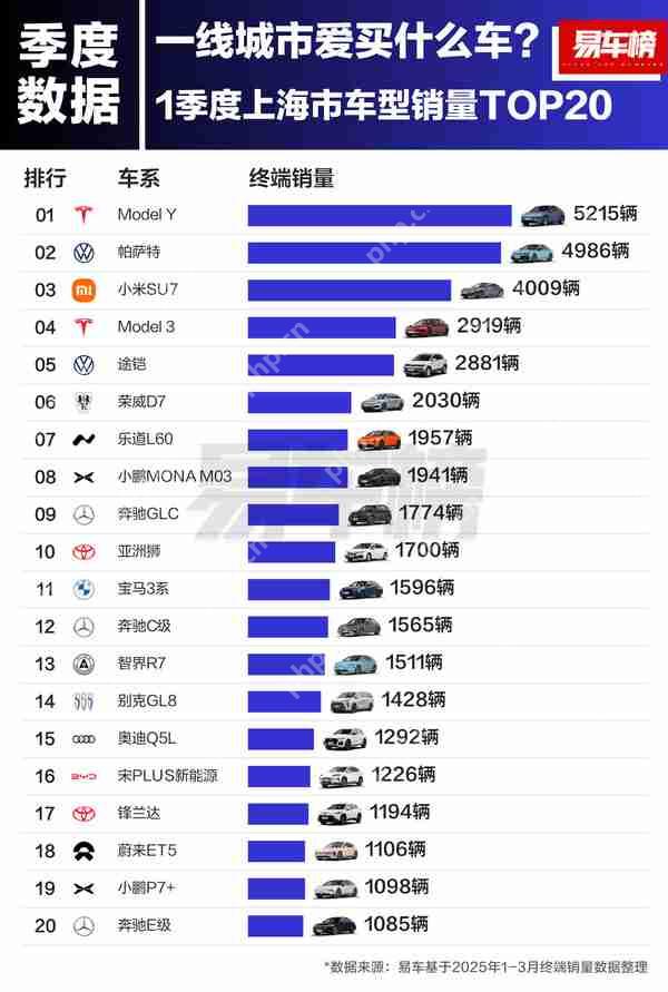 一线城市的人都爱买什么车？特斯拉、小米成最大赢家