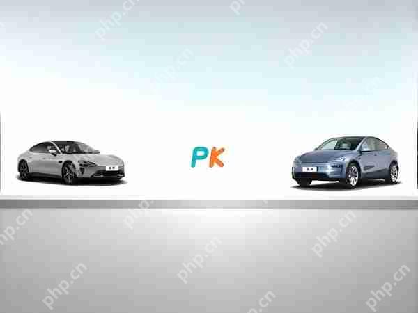 一线城市的人都爱买什么车？特斯拉、小米成最大赢家