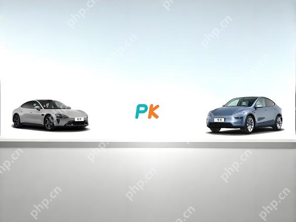 一线城市的人都爱买什么车?特斯拉、小米成最大赢家