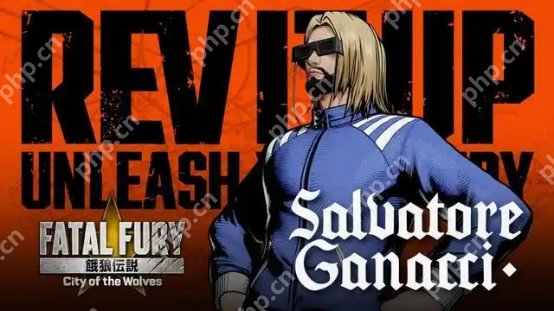 安迪不在家，不知火舞只能靠他了