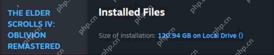 粉丝复原《上古卷轴4:重制版》泄露图 画面很出色