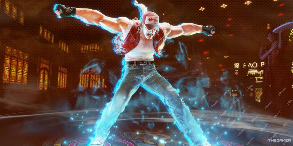 Fatal Fury: City Of The Wolves - Terry Bogard Guide
