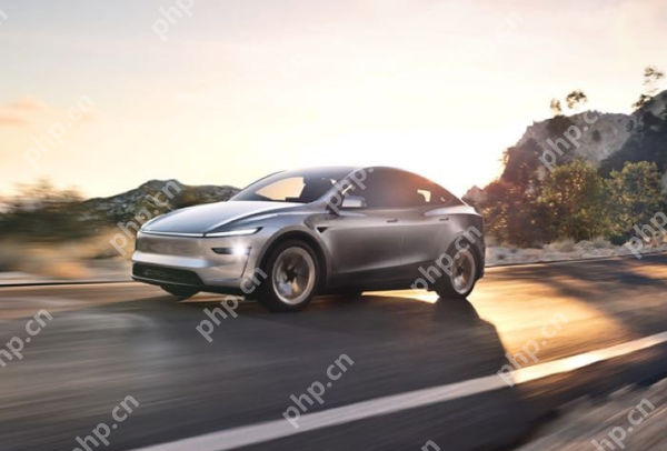 特斯拉Model Y伪装车再度现身 疑似廉价版 成本下降20%