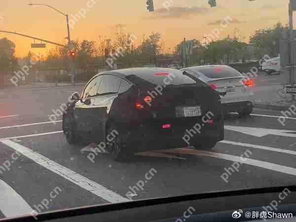 特斯拉Model Y伪装车再度现身 疑似廉价版 成本下降20%