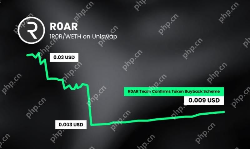 R0AR确认由于合同脆弱性而导致的令牌排水事件