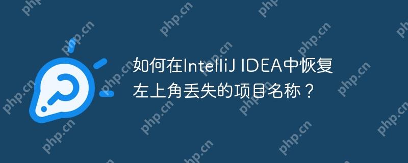如何在IntelliJ IDEA中恢复左上角丢失的项目名称?