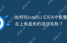 如何在IntelliJ IDEA中恢复左上角丢失的项目名称？