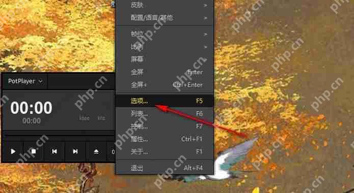 potplayer如何开启硬件解码？potplayer设置硬件解码的两种方法