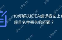 如何解决IDEA编译器左上角项目名字丢失的问题？