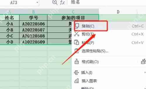 WPS表格怎么复制一个一模一样的到另一个？WPS复制方法