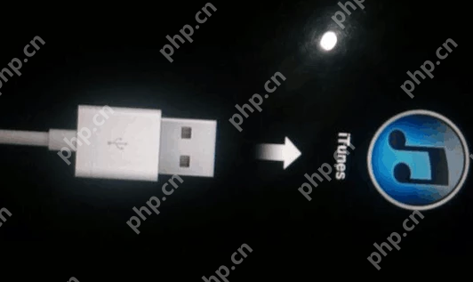 小编告诉你苹果手机连接电脑没反应怎么办