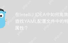 在IntelliJ IDEA中如何高效查找YAML配置文件中的特定属性？