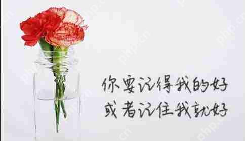 PS怎么去掉图片背景只留字？