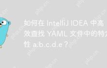 如何在 IntelliJ IDEA 中高效查找 YAML 文件中的特定属性 a.b.c.d.e？