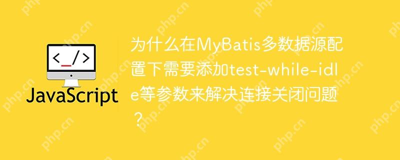 为什么在MyBatis多数据源配置下需要添加test-while-idle等参数来解决连接关闭问题？-小浪学习网