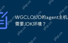 WGCLOUD的agent主机是否需要JDK环境？