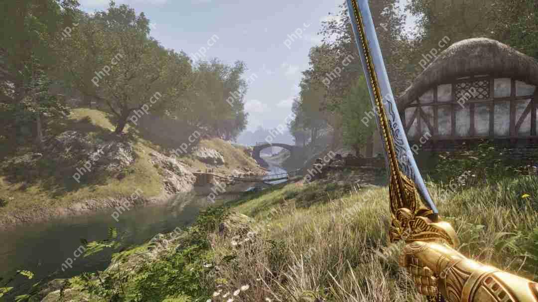 《上古卷轴4：湮灭重制版》发售 Steam 249元、PC配置公开