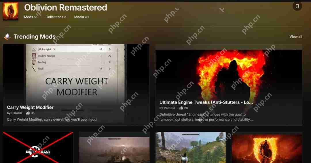 《上古卷轴4:湮灭重制版》官方称不支持MOD 但N网已有大量MOD出现