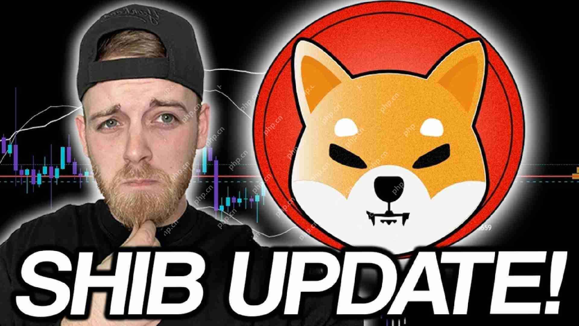 Shiba INU(SHIB)价格分析