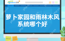 萝卜家园和雨林木风系统哪个好
