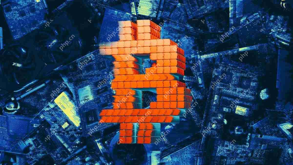 杰克·马拉尔(Jack Mallers)加入了新加密风险二十一首首都的首席执行官