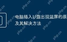电脑插入U盘出现蓝屏的原因及其解决方法