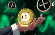 Memecoin Doge在每日活动地址中超过XRP，这是用户参与度增长和网络活动的迹象