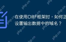 在使用DRF框架时，如何正确设置输出数据中的域名？