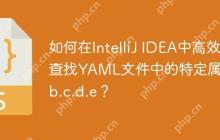 如何在IntelliJ IDEA中高效查找YAML文件中的特定属性a.b.c.d.e？