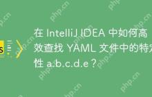 在 IntelliJ IDEA 中如何高效查找 YAML 文件中的特定属性 a.b.c.d.e？