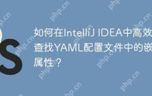 如何在IntelliJ IDEA中高效查找YAML配置文件中的嵌套属性？