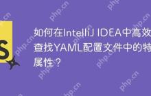 如何在IntelliJ IDEA中高效查找YAML配置文件中的特定属性？