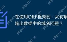在使用DRF框架时，如何解决输出数据中的域名问题？