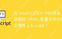 在 IntelliJ IDEA 中如何高效查找 YAML 配置文件中的特定属性 a.b.c.d.e？